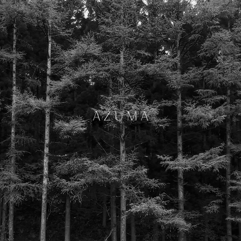 AZUMA 1X1 STILL FONT scaled