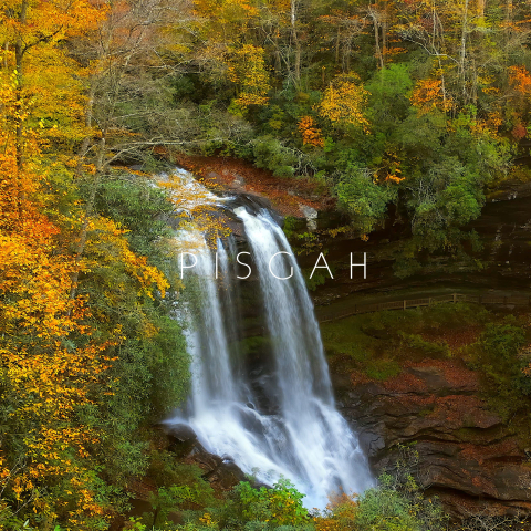 PISGAH SELF TITLED 1X1 STILL scaled